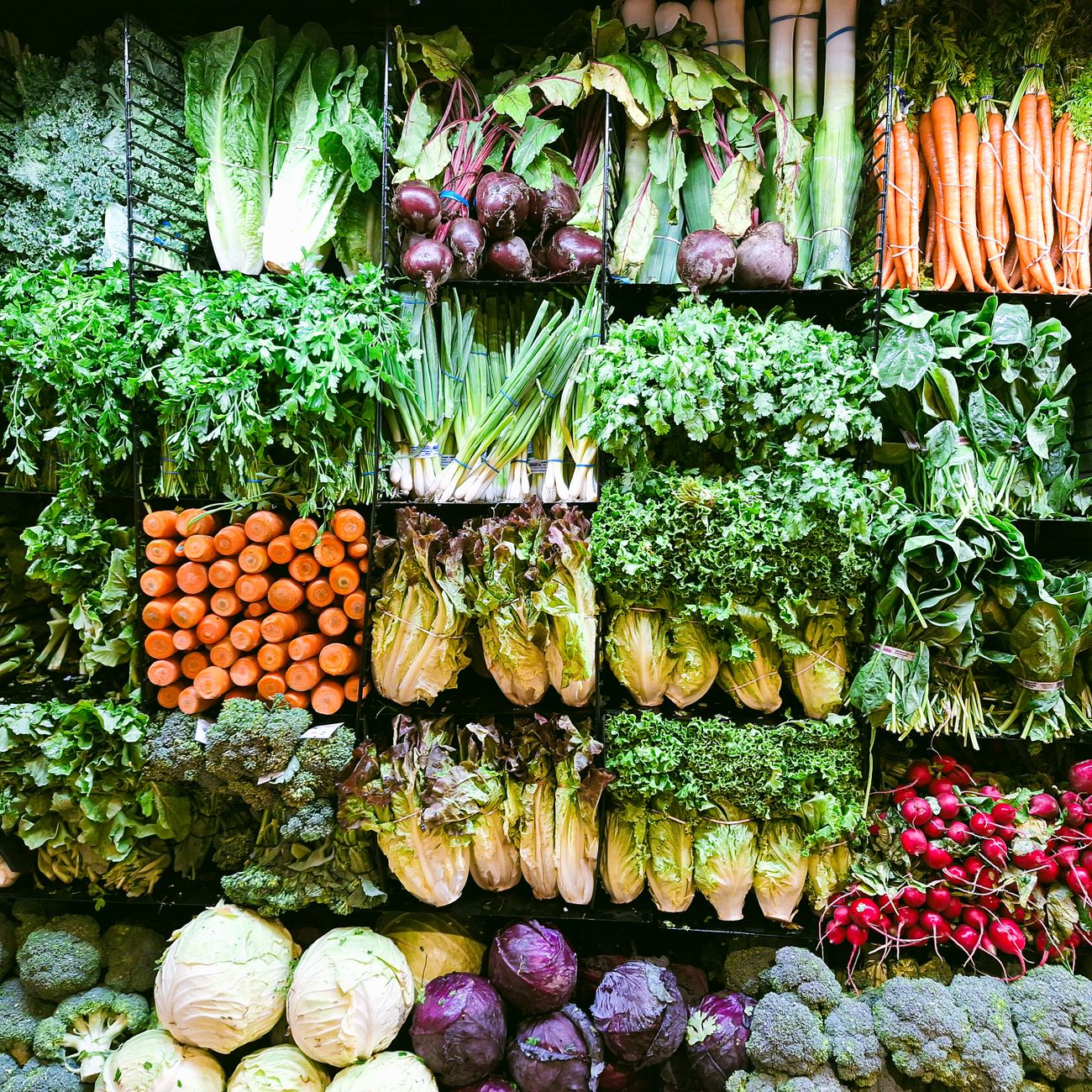 Herbal Marketing and Business