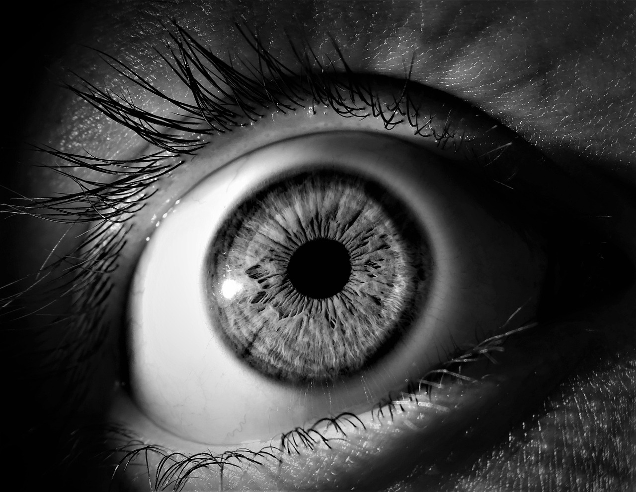 Binocular Vision Fundamentals