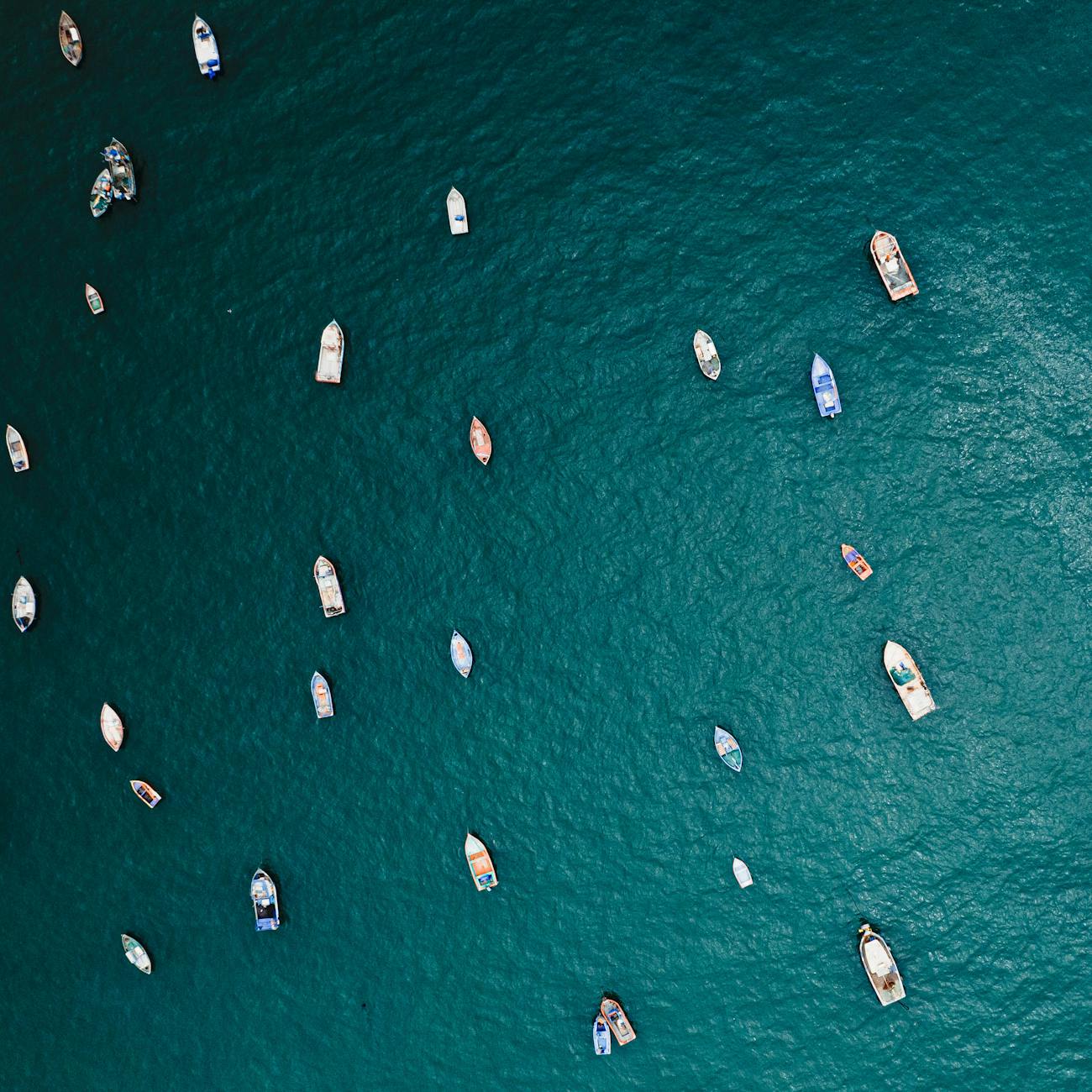 Mussel Marketing and Sales