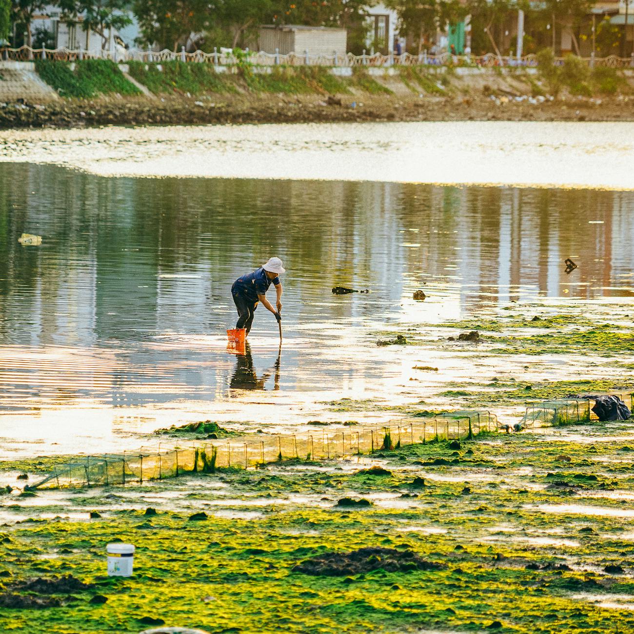 Mussel Sustainability Practices