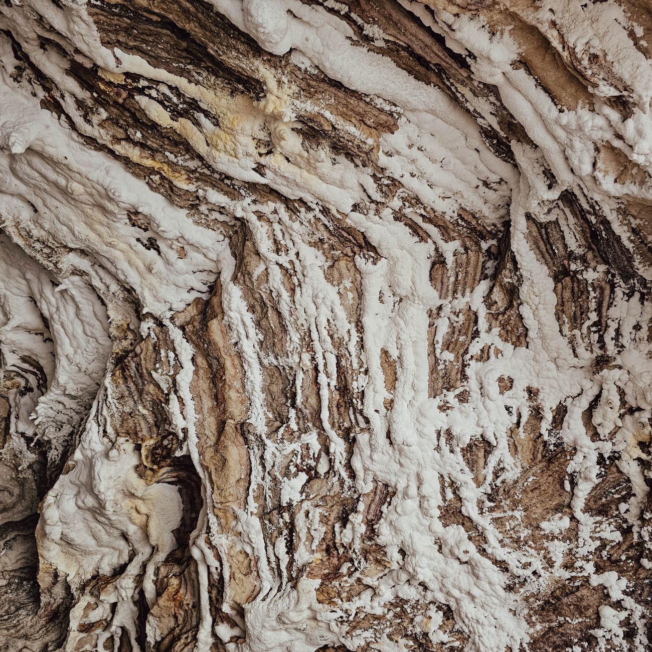 Risk Management in Mineral Economics