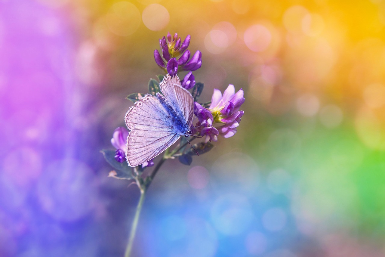 Color Psychology