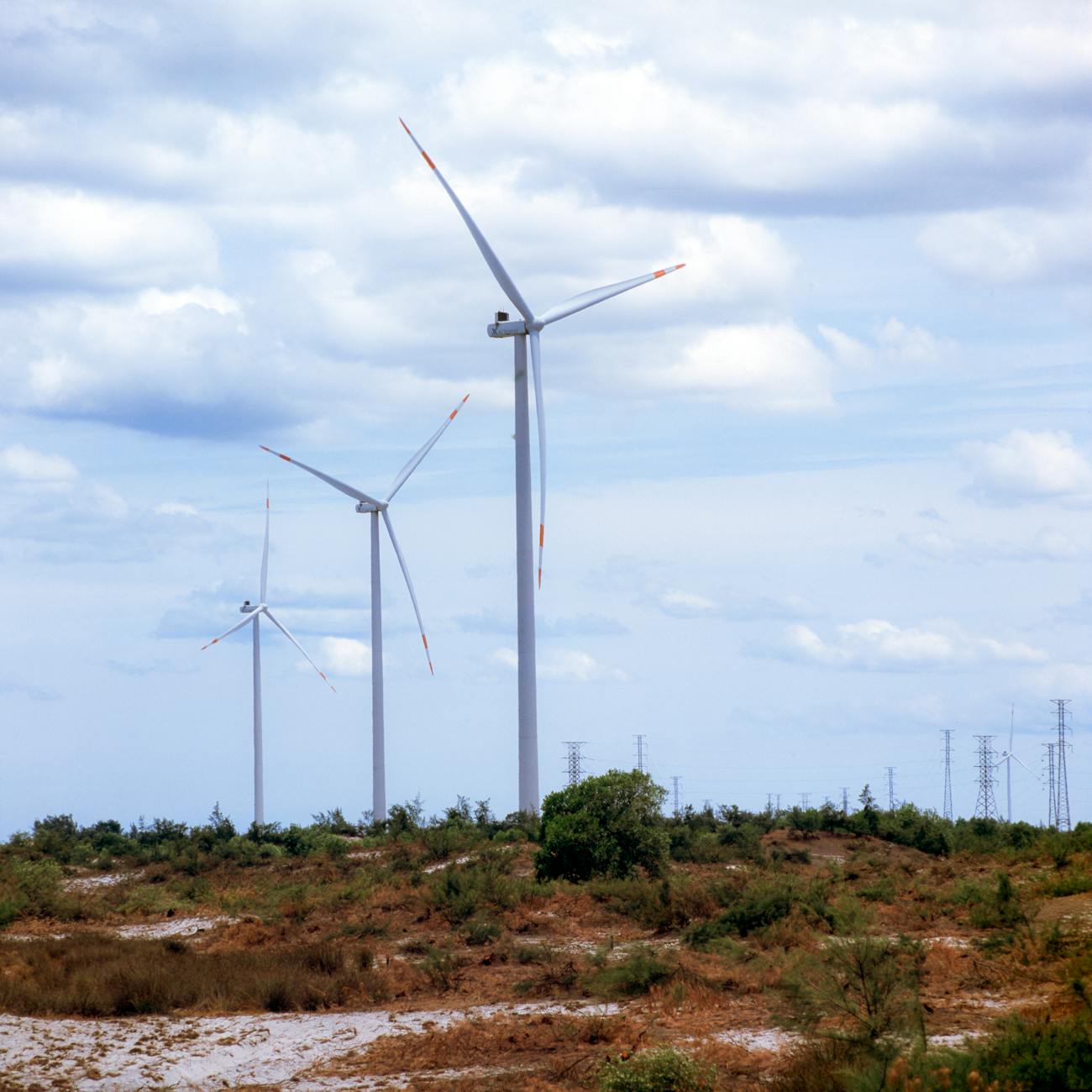 Introduction to Offshore Wind Energy