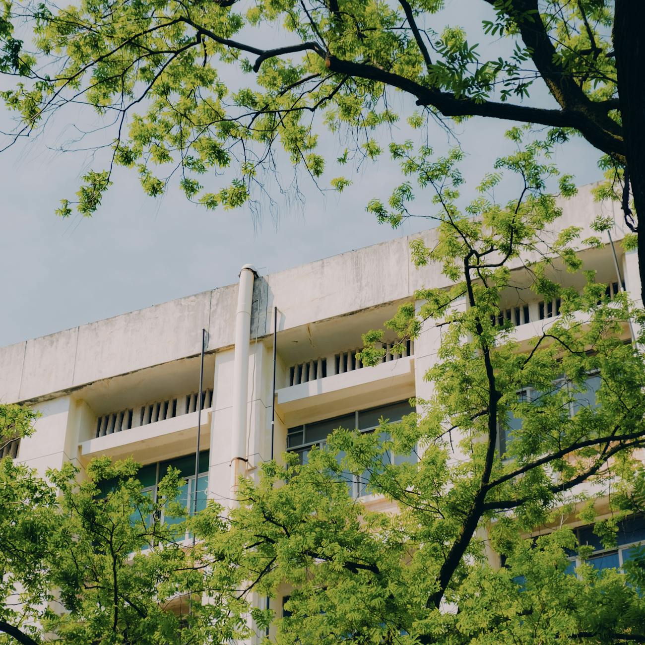 Risk Management in Educational Institutions