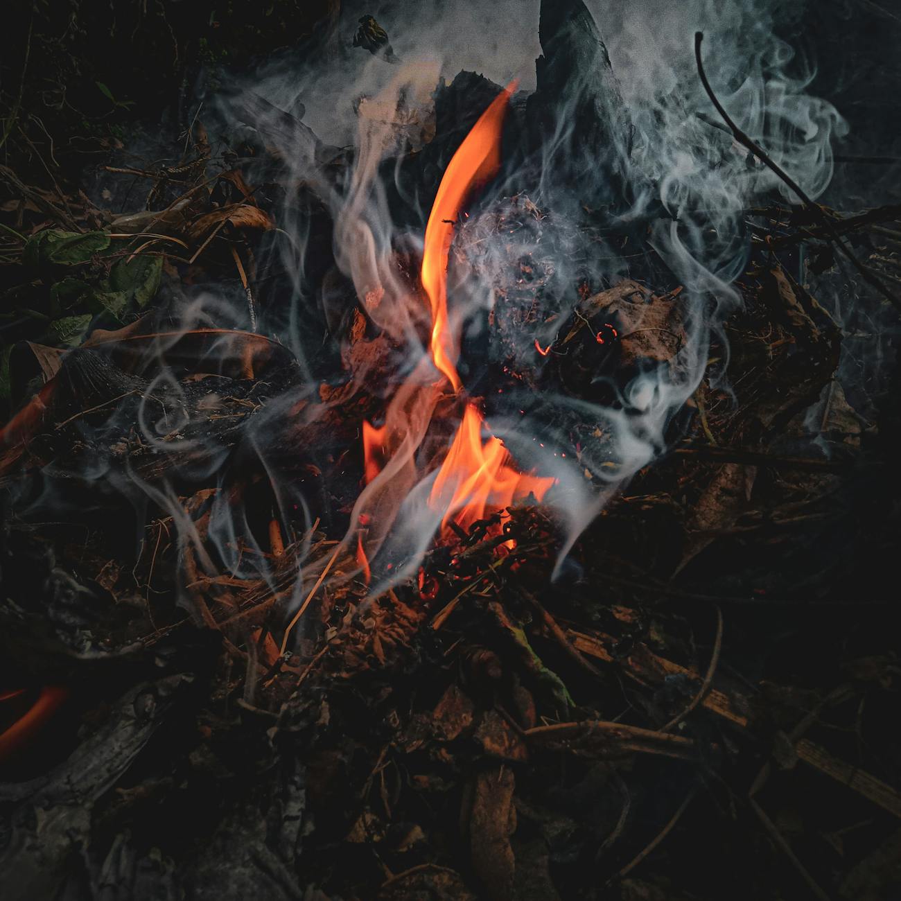 Deep Learning Applications in Fire Detection and Suppression