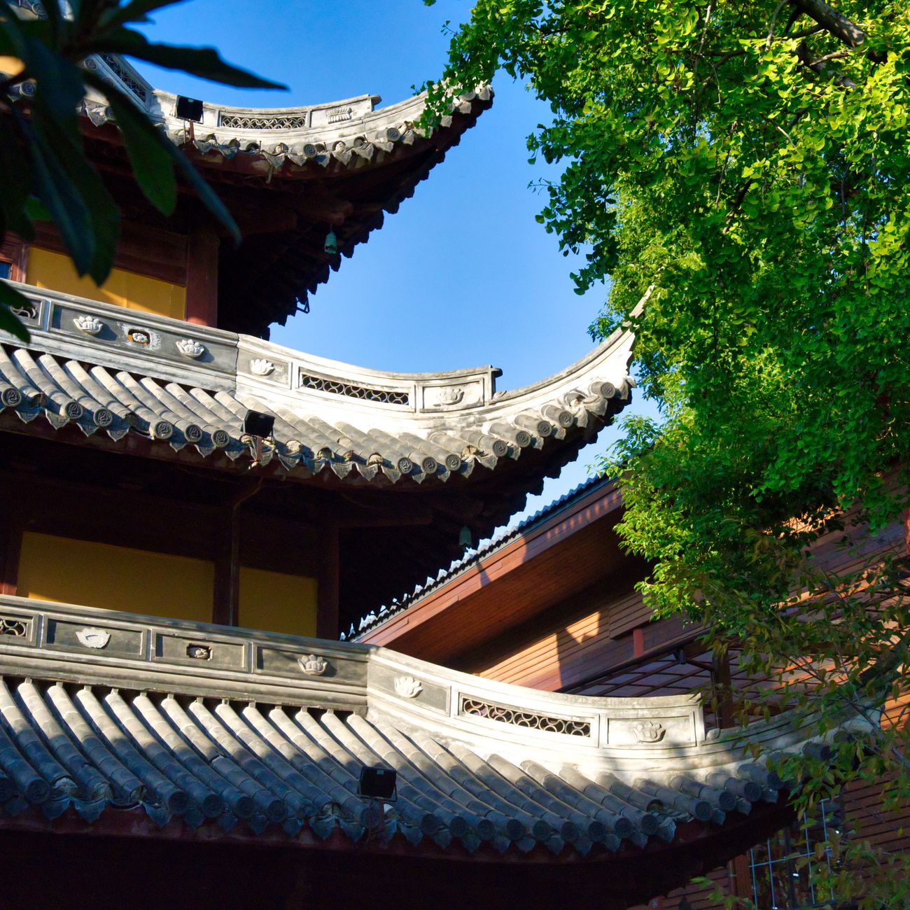 Chinese Medicine Psychology