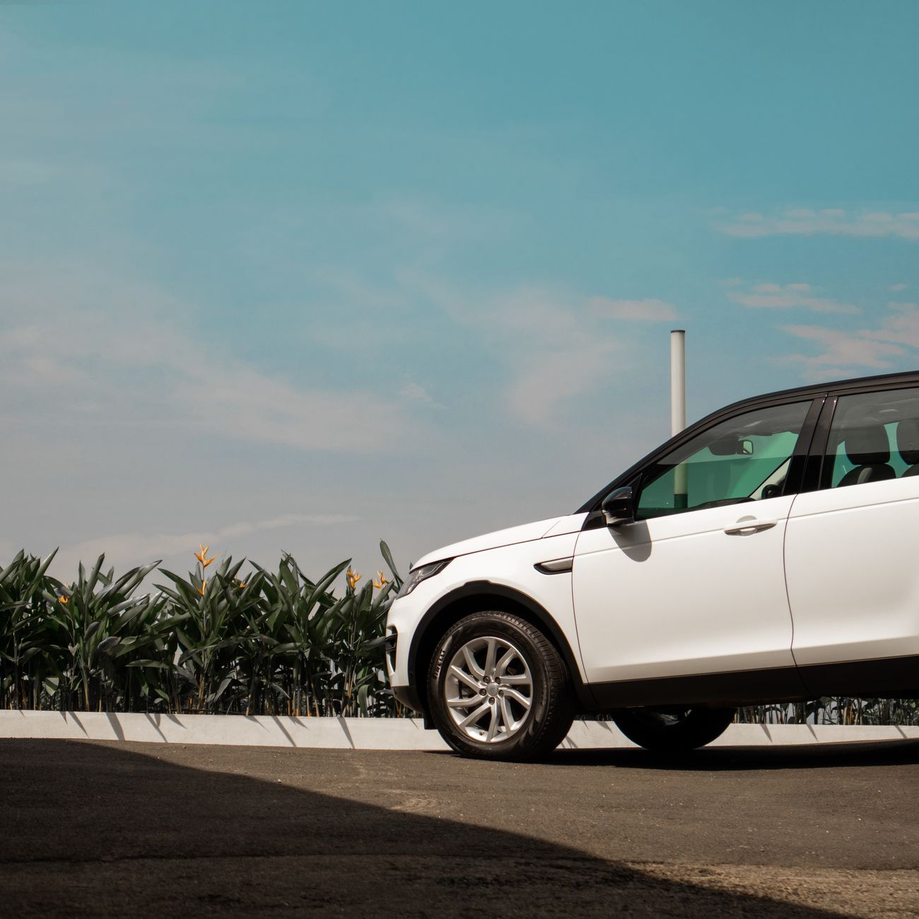 Automotive Aftersales Management
