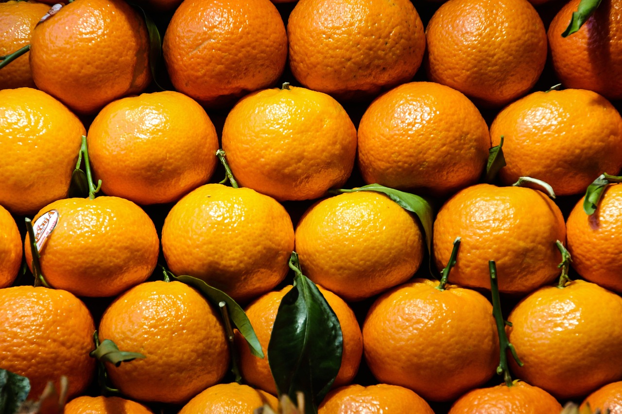 Introduction to Health Economics