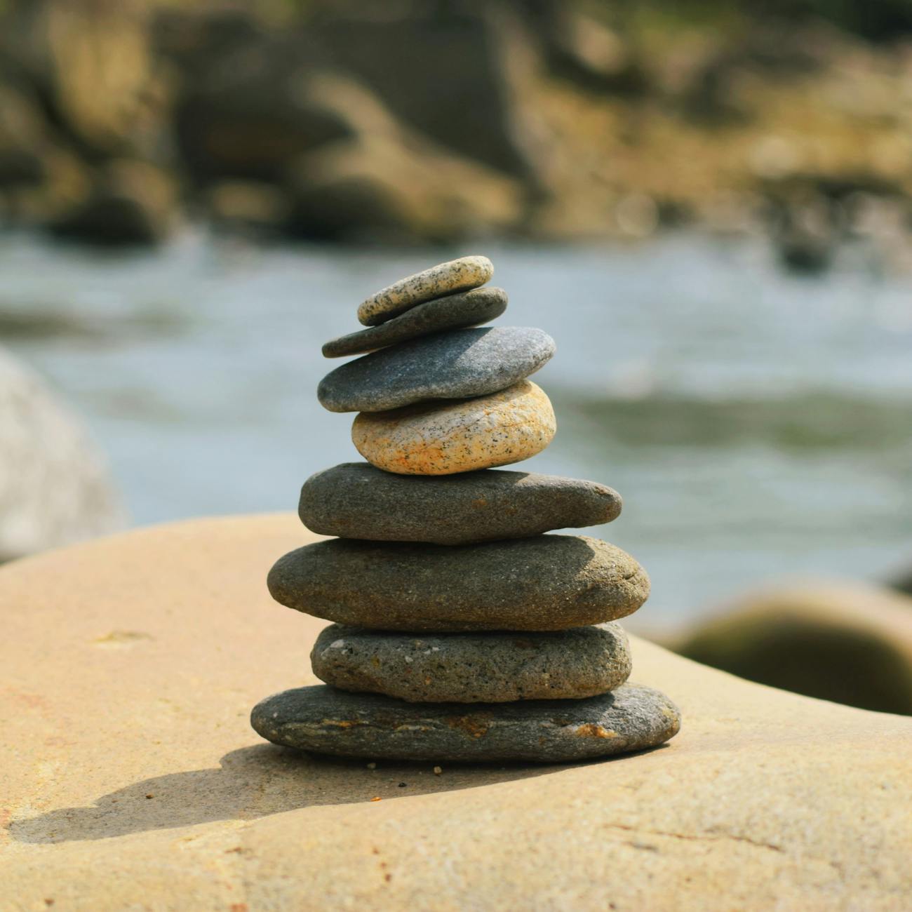 Holistic Approaches To Longevity And Wellness