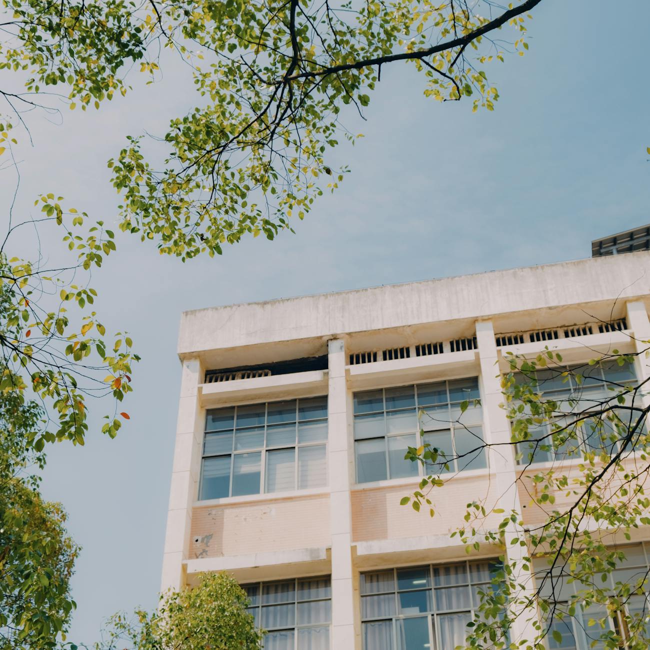 Sustainable Healthcare Design