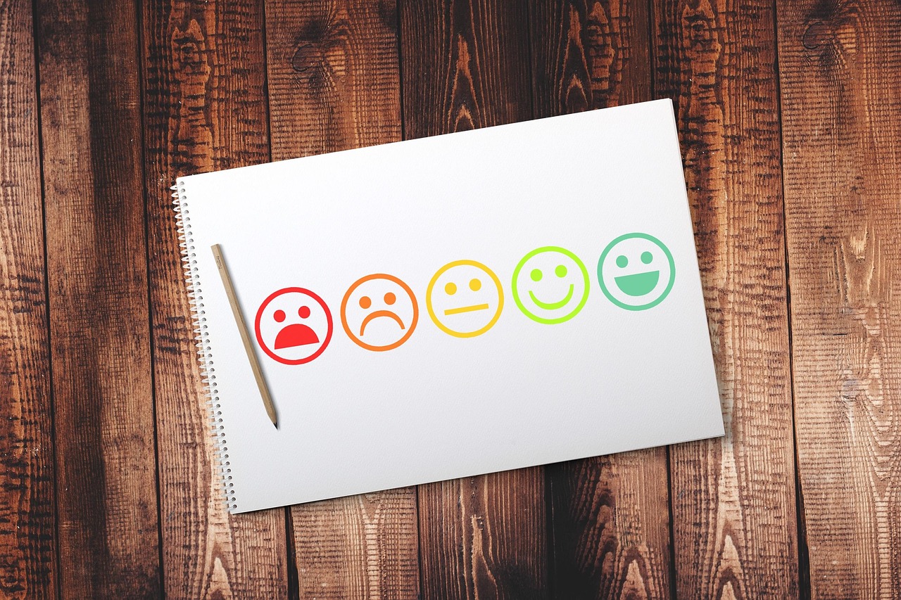 Service User Experience And Engagement