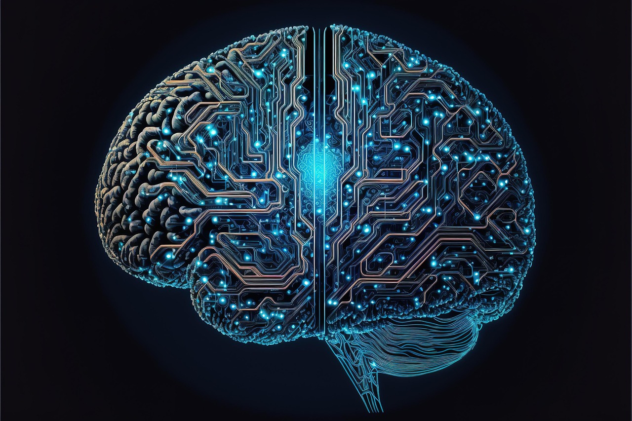 Risk Management and Audit of Intelligent Systems