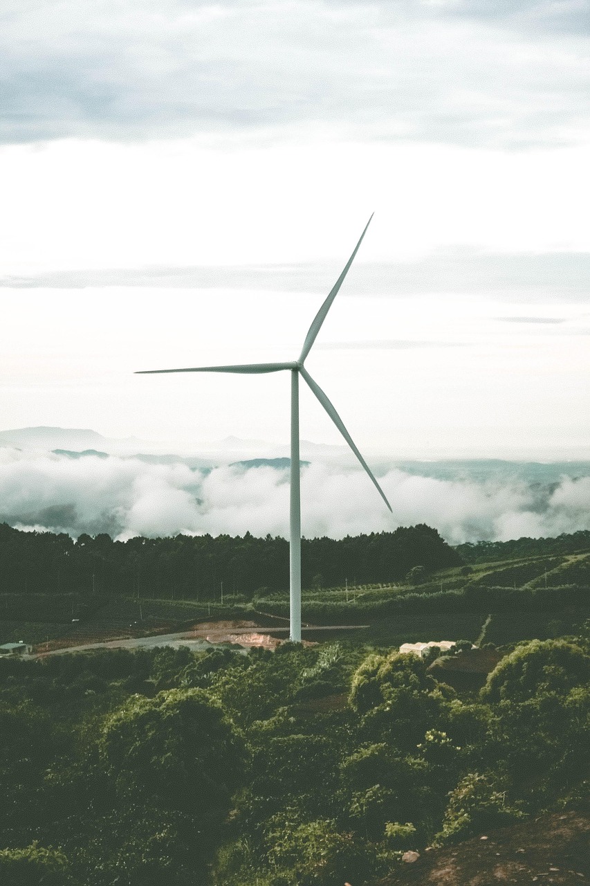 Grid Interconnection and Transmission Regulations