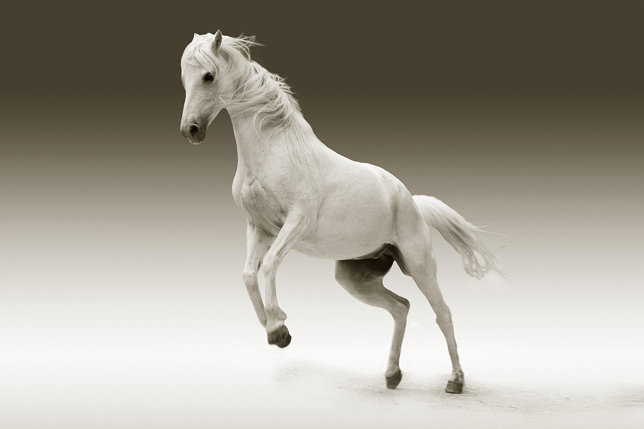 Equine Parasite Molecular Biology