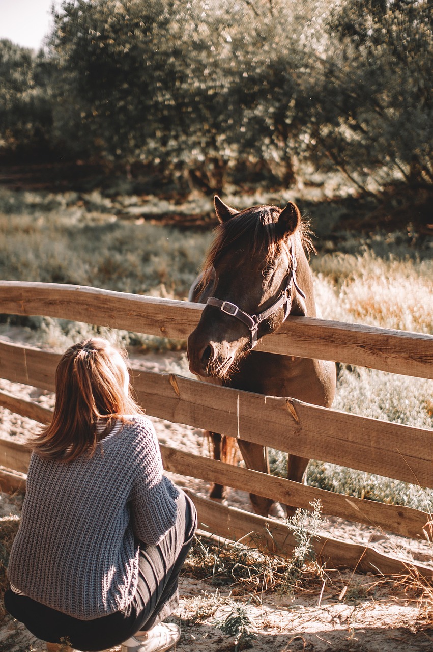 Equine Parasite Diagnostic Techniques
