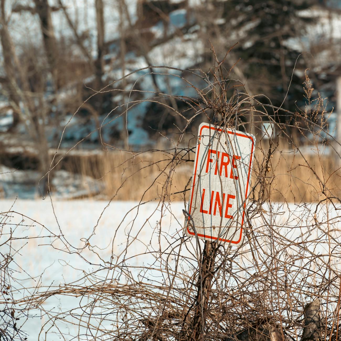 Incident Response and Legal Implications  