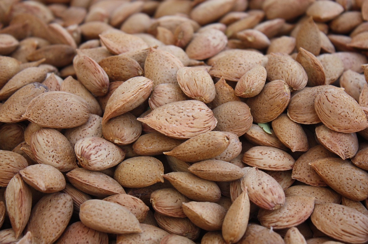 Data Collection and Management in Agriculture  