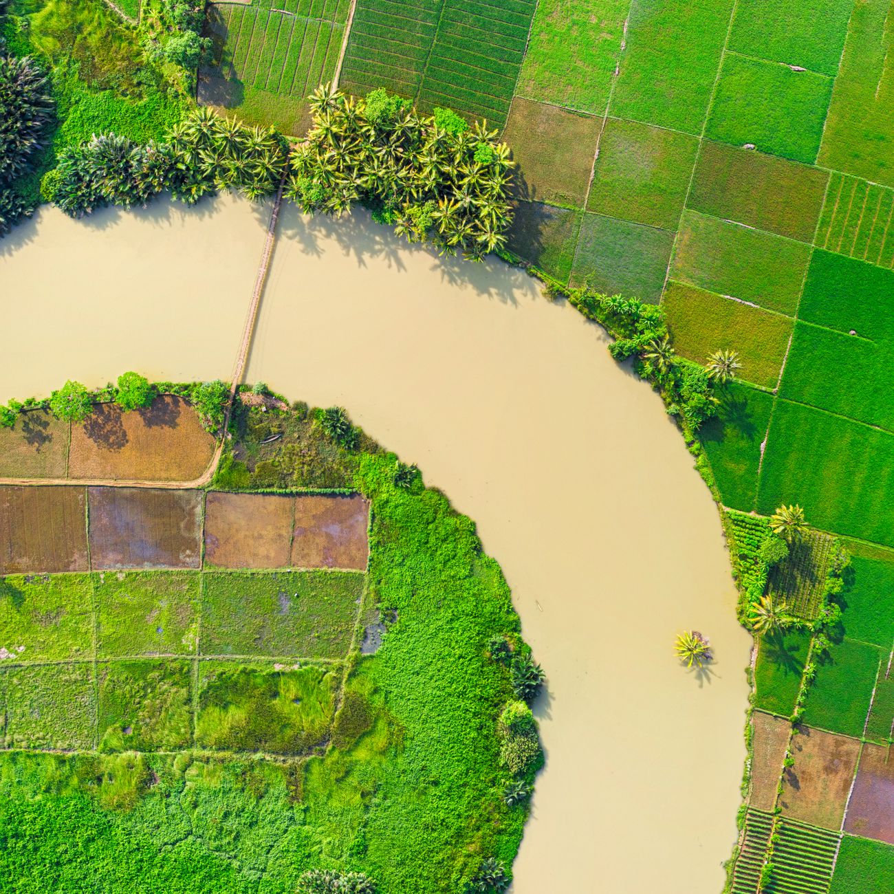 Remote Sensing and Image Interpretation