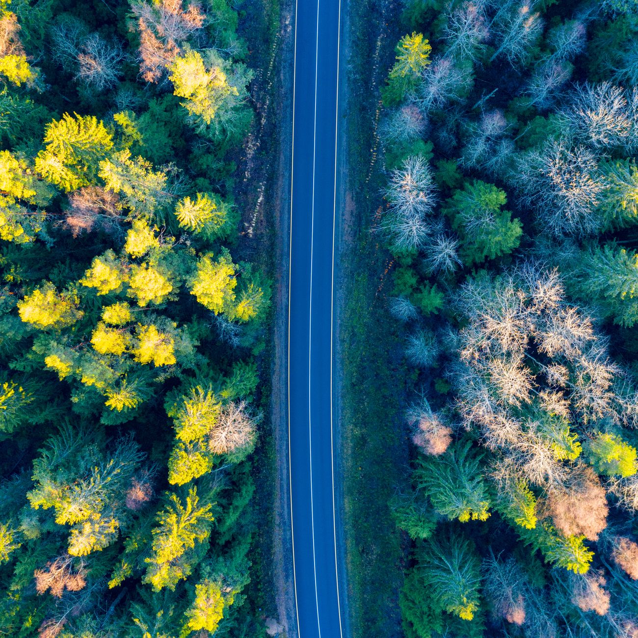 AI-Driven Investment Strategies