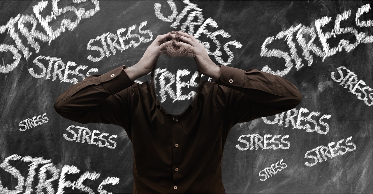 Stress and Performance in Aviation  