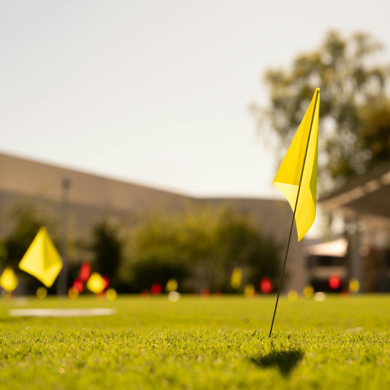 Integrating Technology into Coaching Practices  