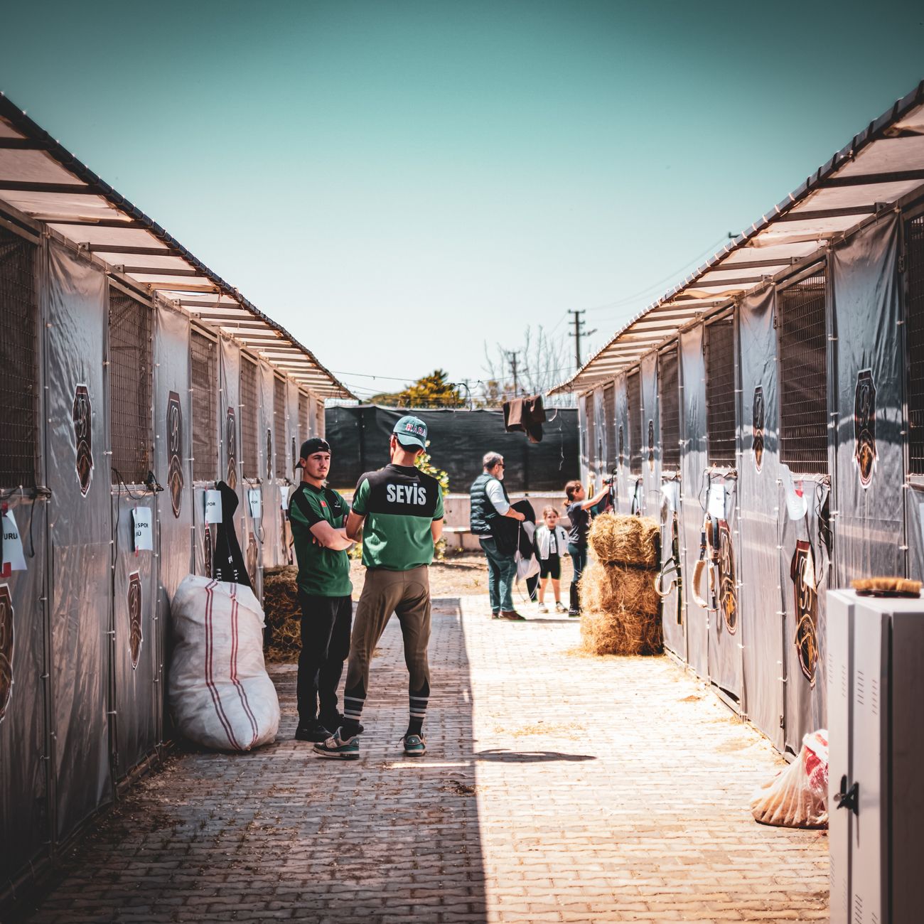 Risk Management and Resilience in Humanitarian Settings
