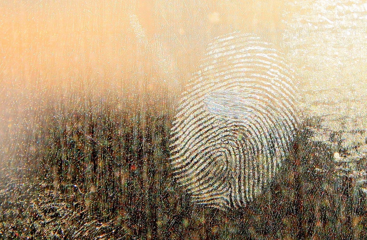 Digital Evidence Collection and Preservation