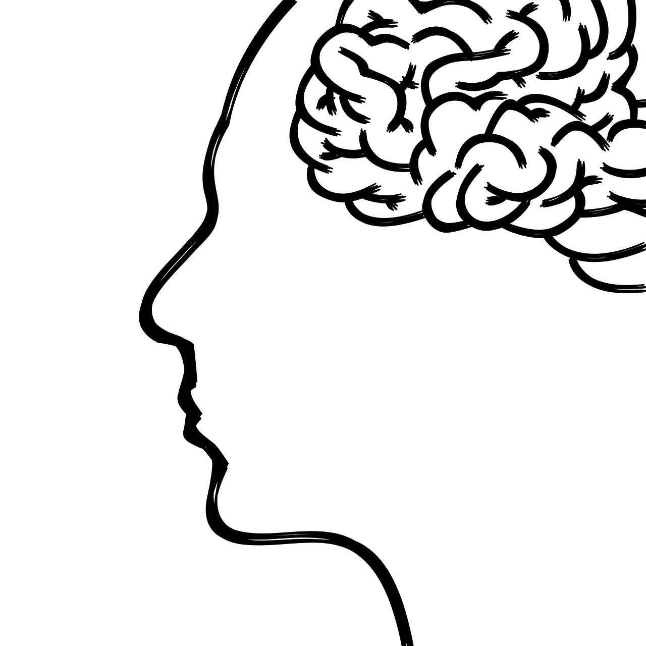 Human Factors in User Experience Design