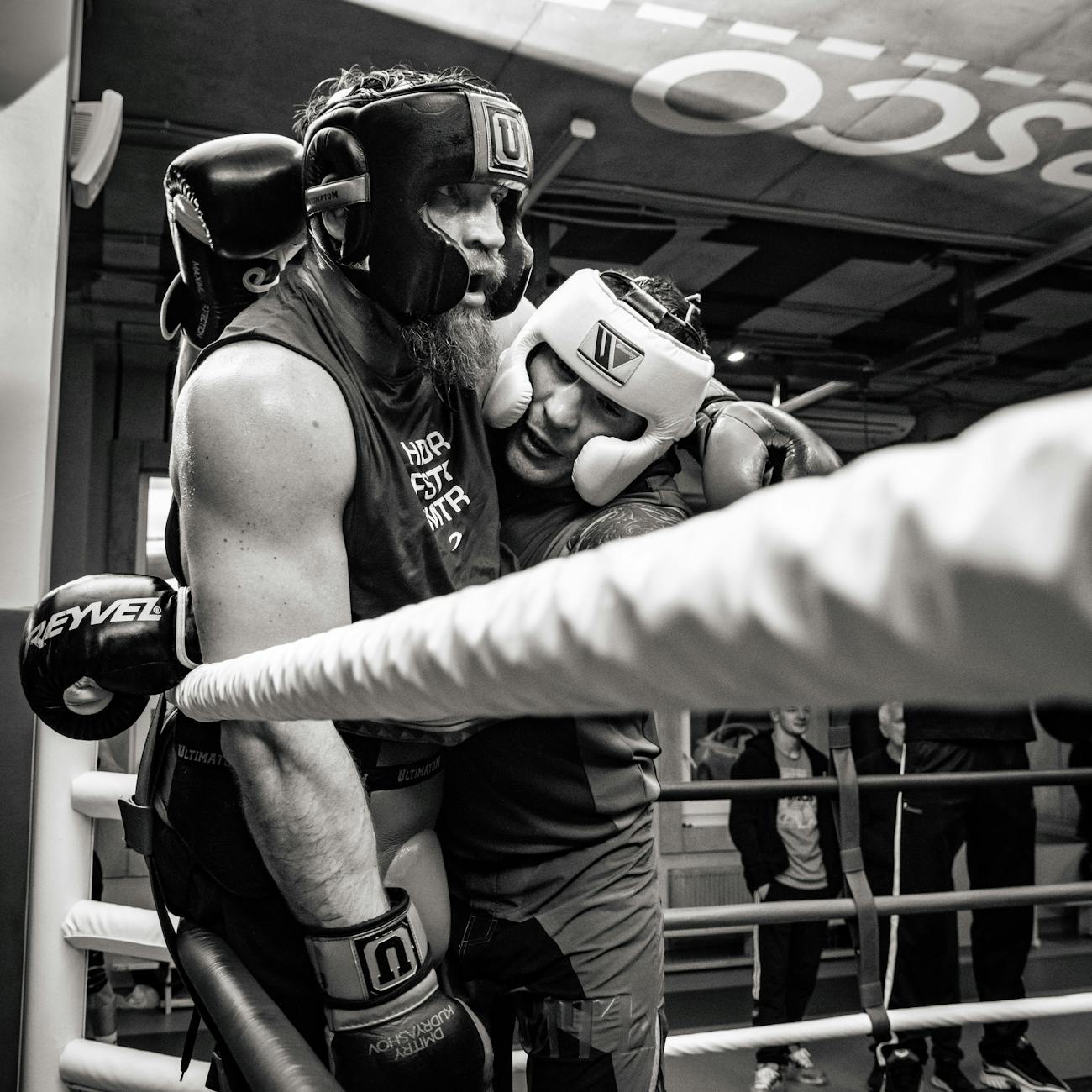 Understanding Concussions in Boxing