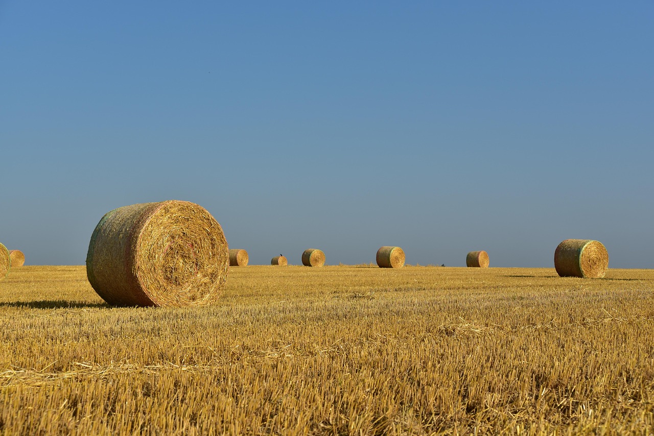 Land Use Regulations