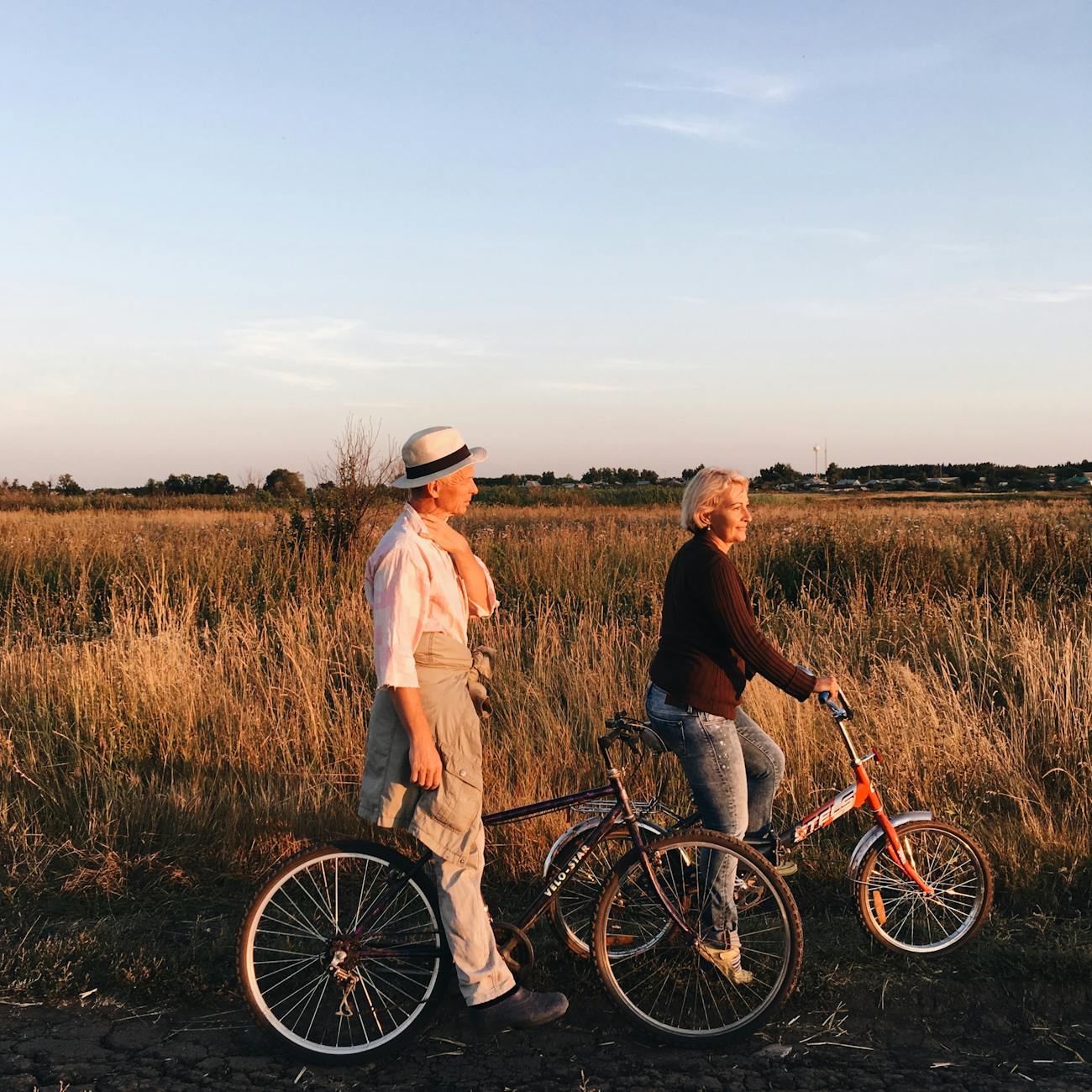 Health and Wellness in Aging