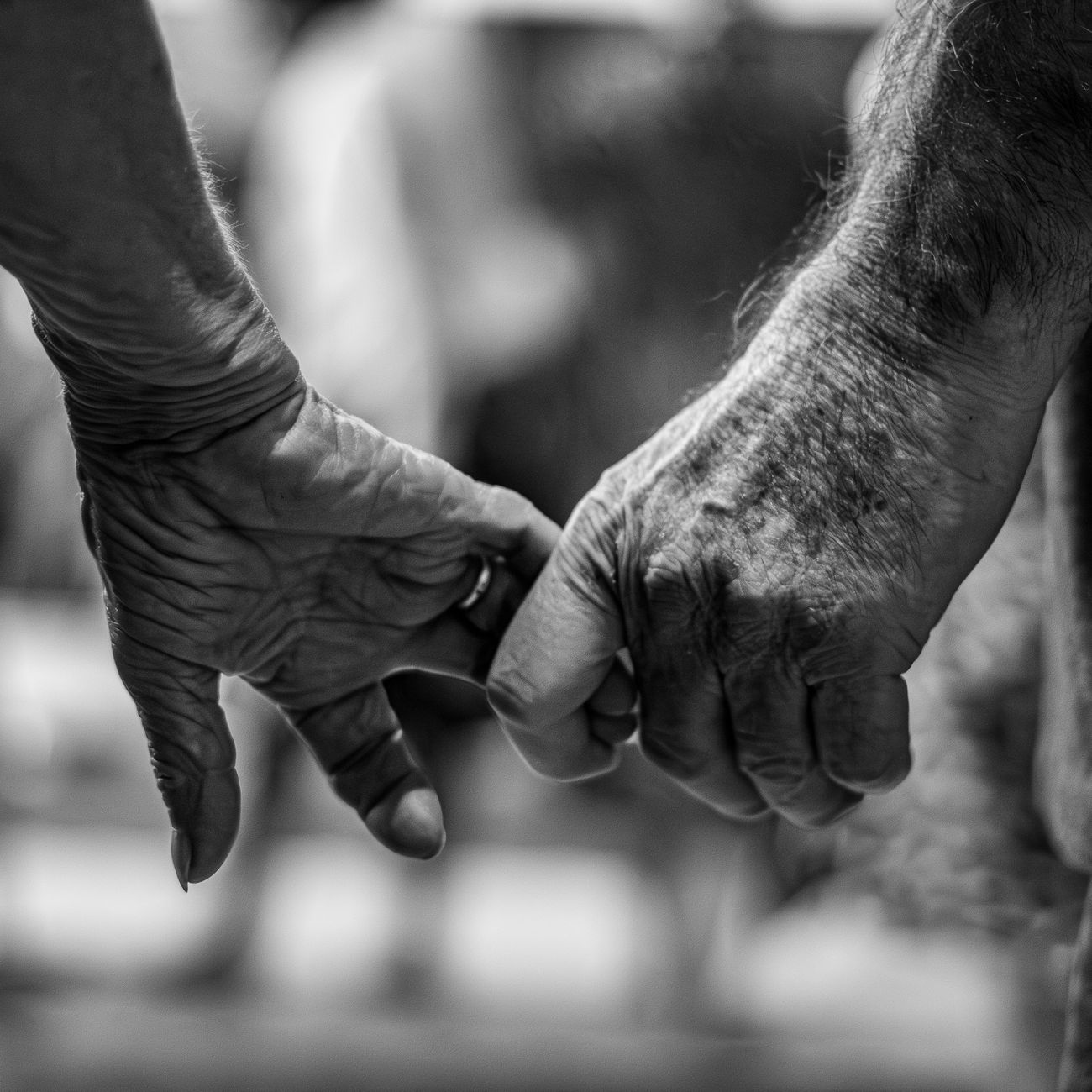 Advance Directives and End-of-Life Care