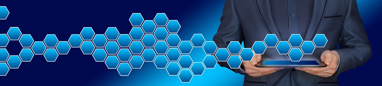 Quality Management Systems in Hotels  