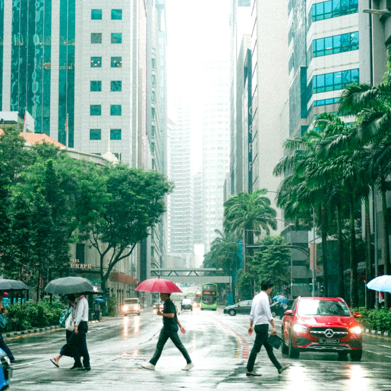 Environmental and Social Risk Assessment
