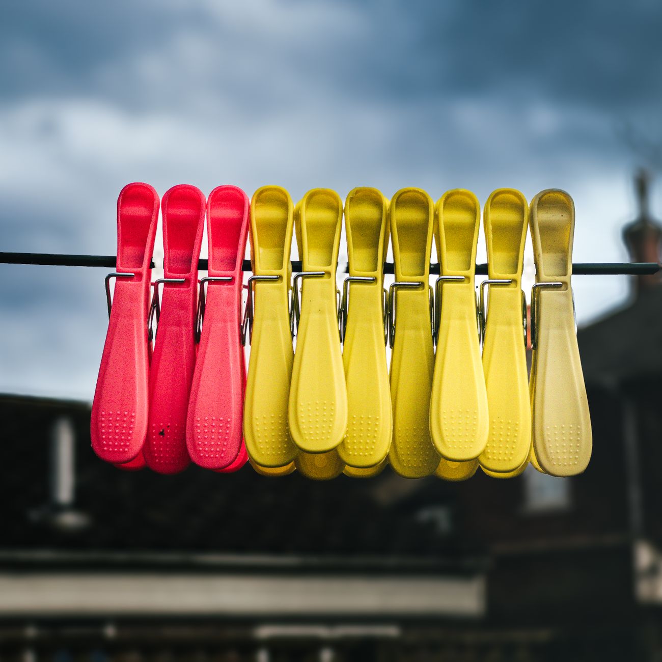 Household Toxins in Consumer Products