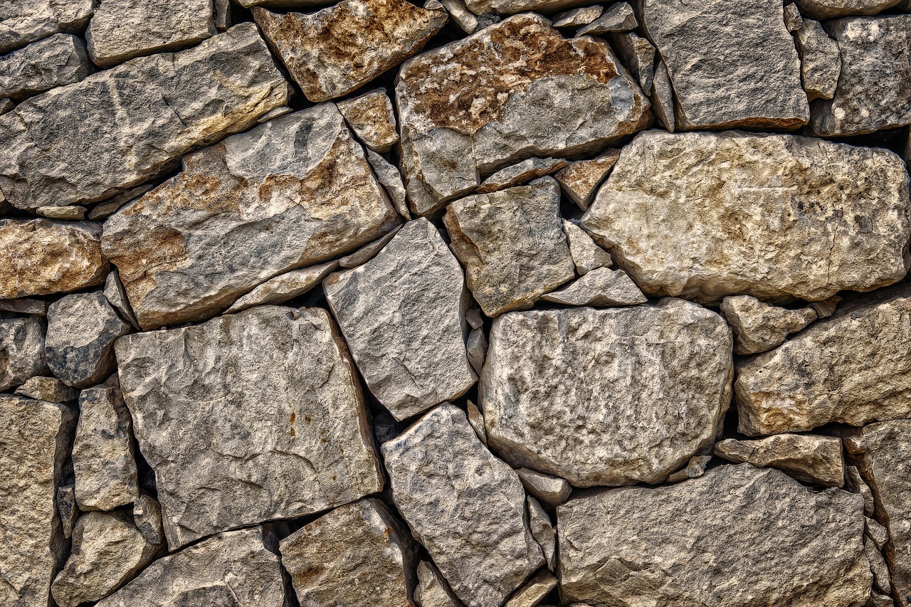 Introduction to Policy Brief Structure