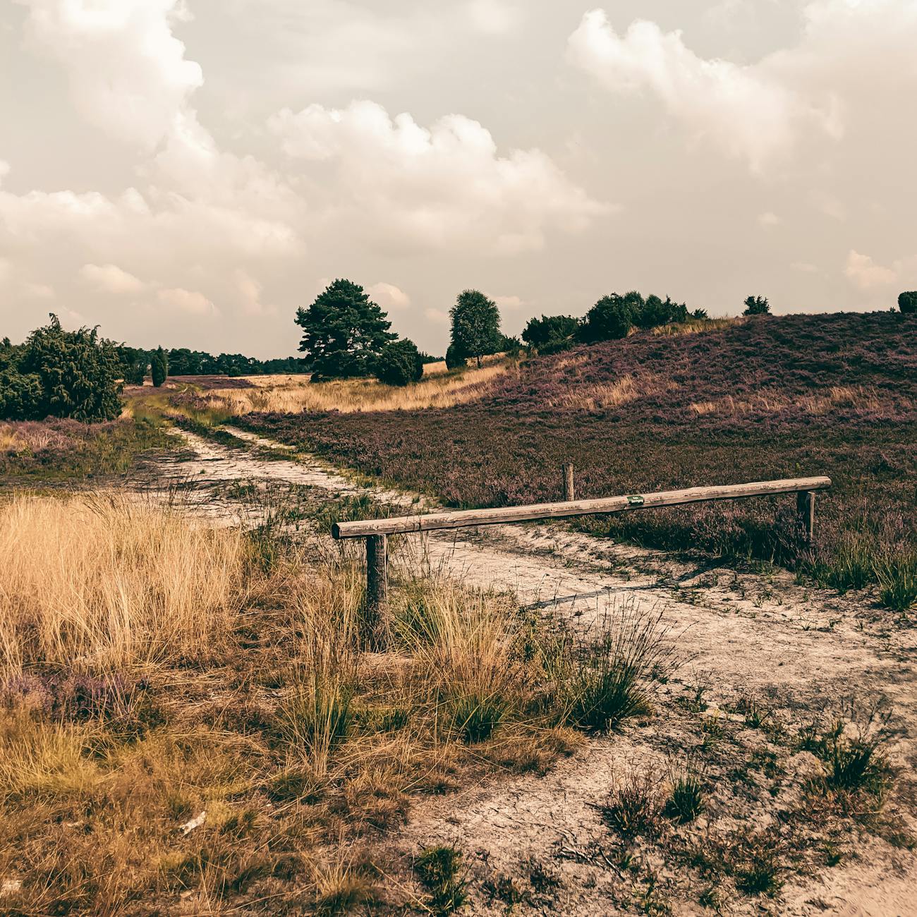 Land Law