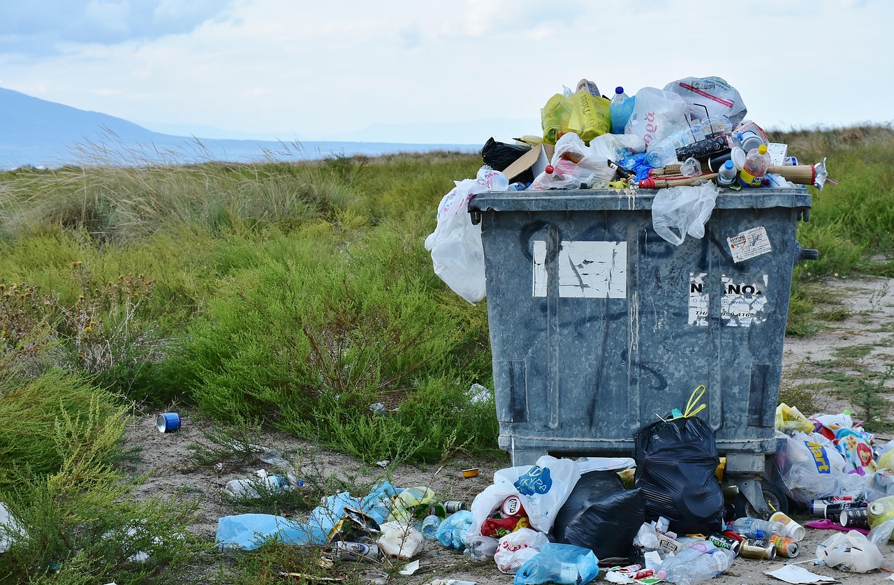 Environmental Impact Assessment