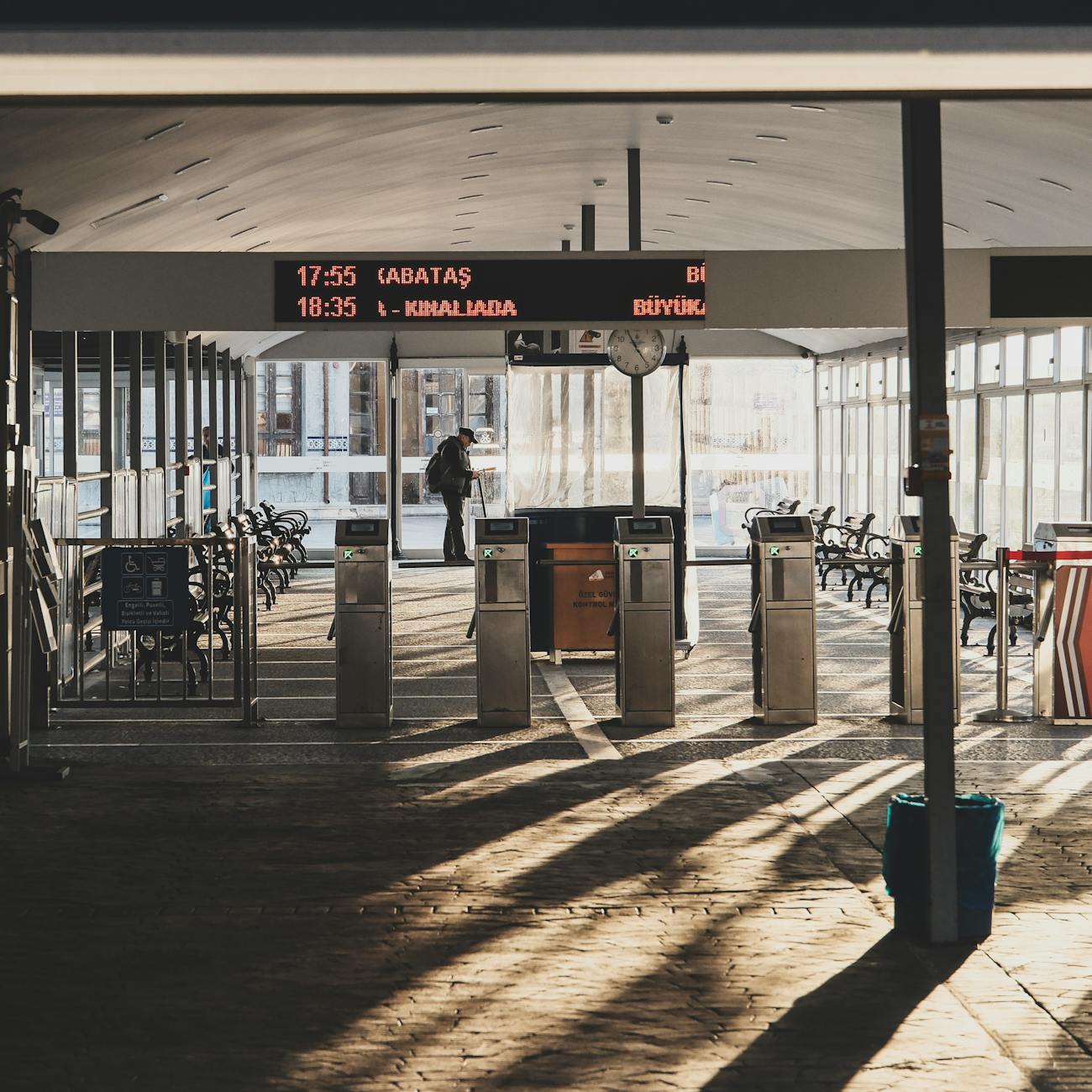 Anti-Avoidance and Transfer Pricing Regulations  