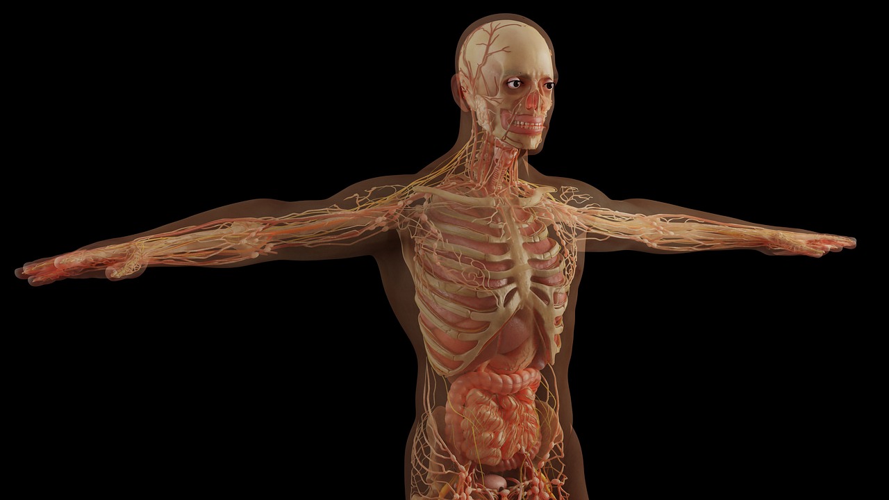 Advanced Endocrine Physiology