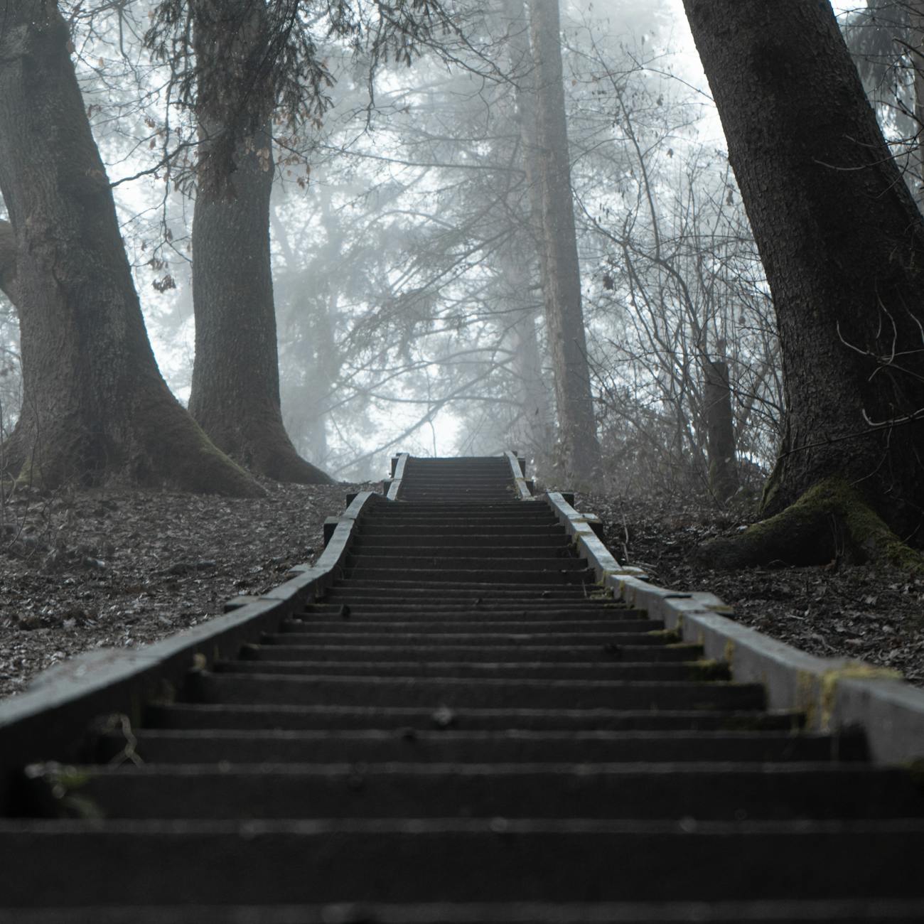 Introduction to Addiction Recovery Coaching