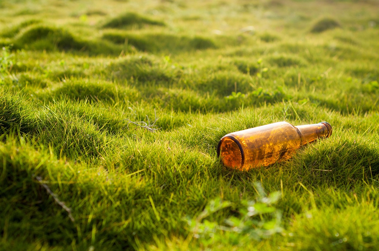 International Environmental Law