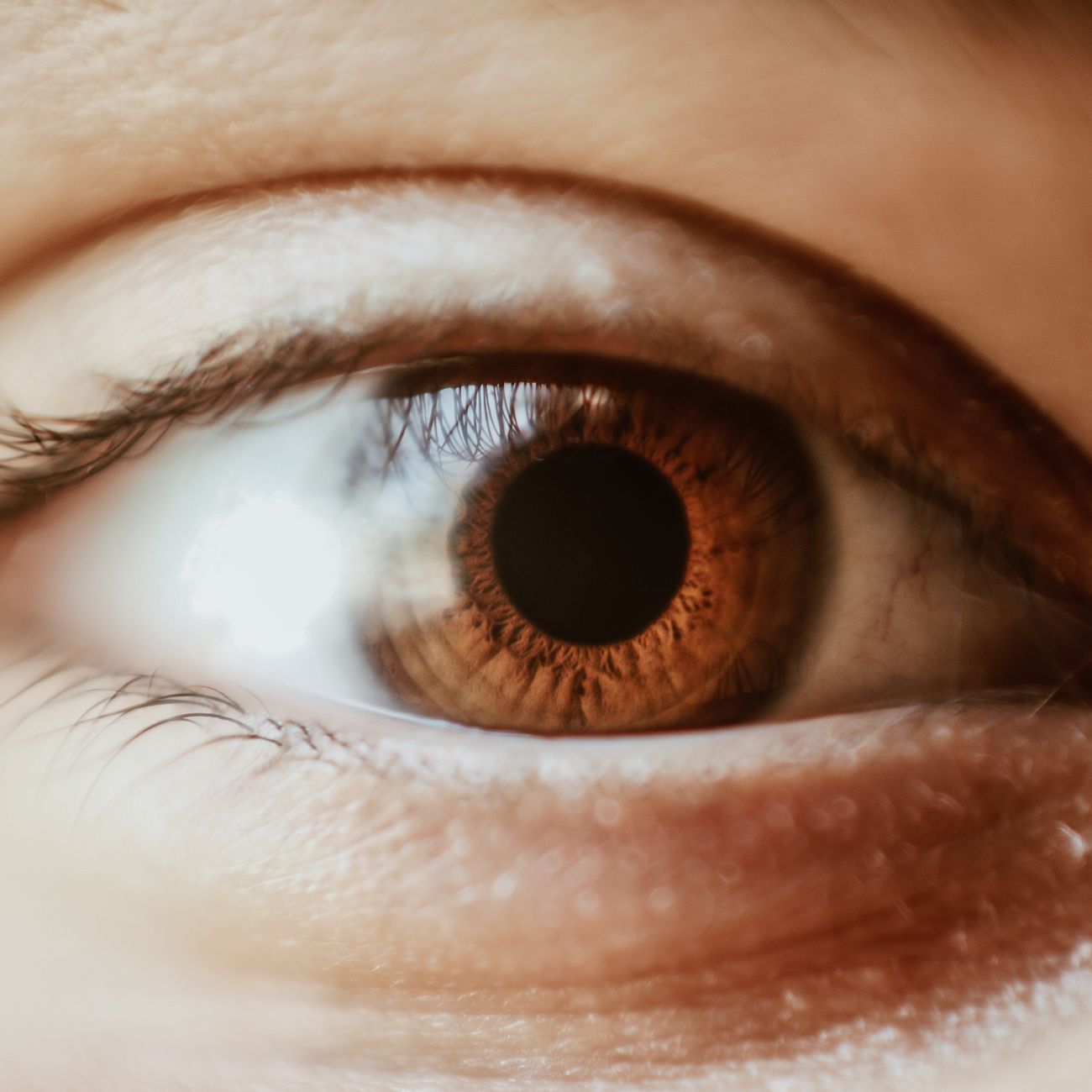 Deep Learning Algorithms for Eye Health