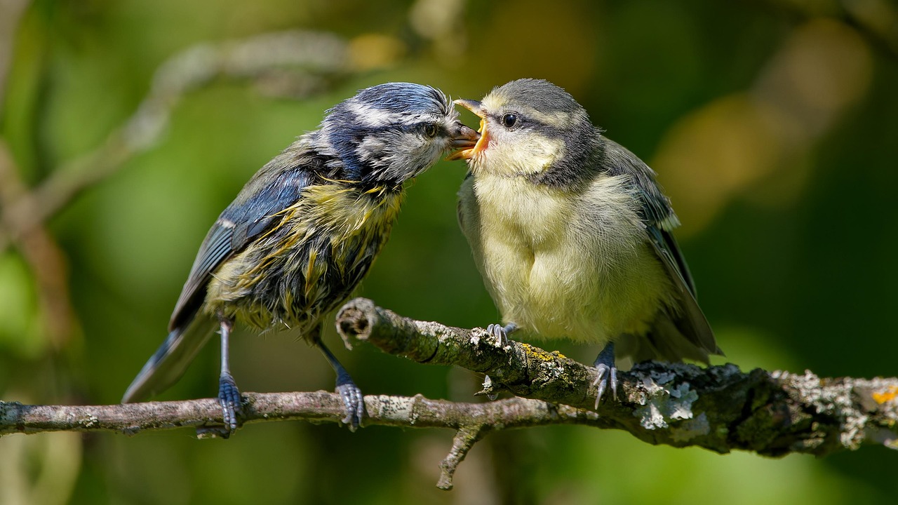 Parenting Styles and Approaches