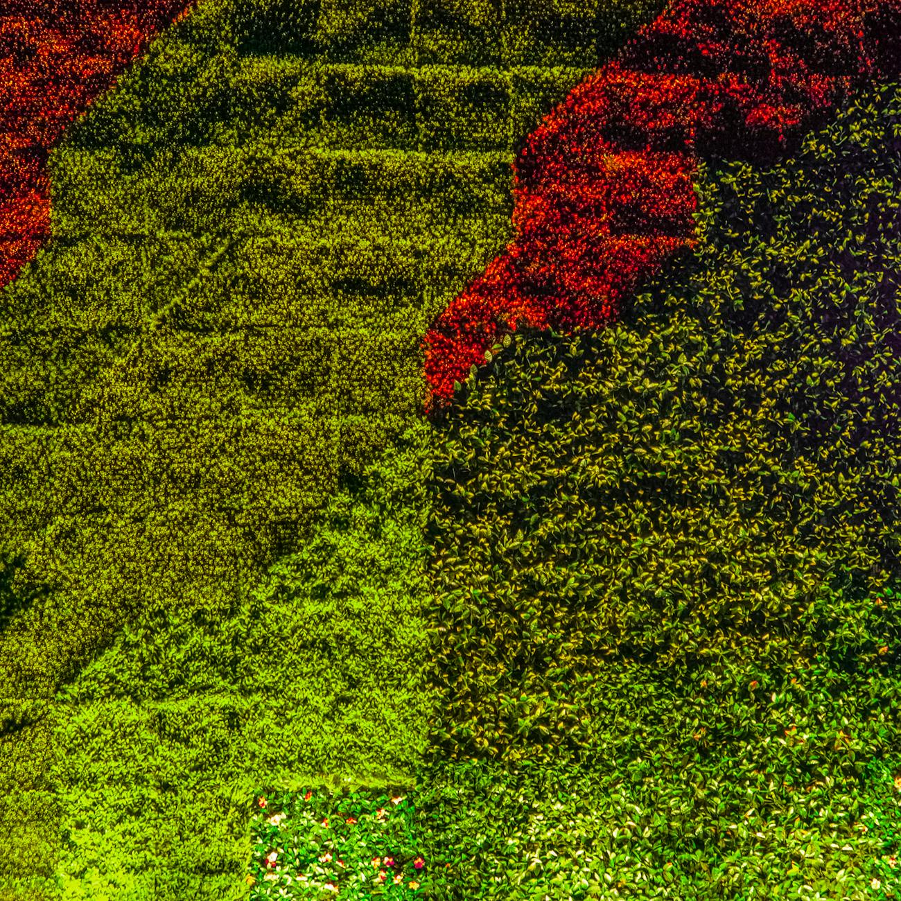 Image Processing and Computer Vision for Crop Monitoring