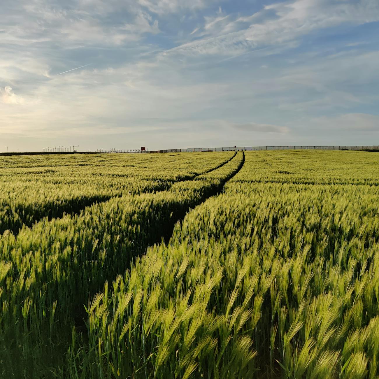 Natural Language Processing for Agricultural Text Analysis