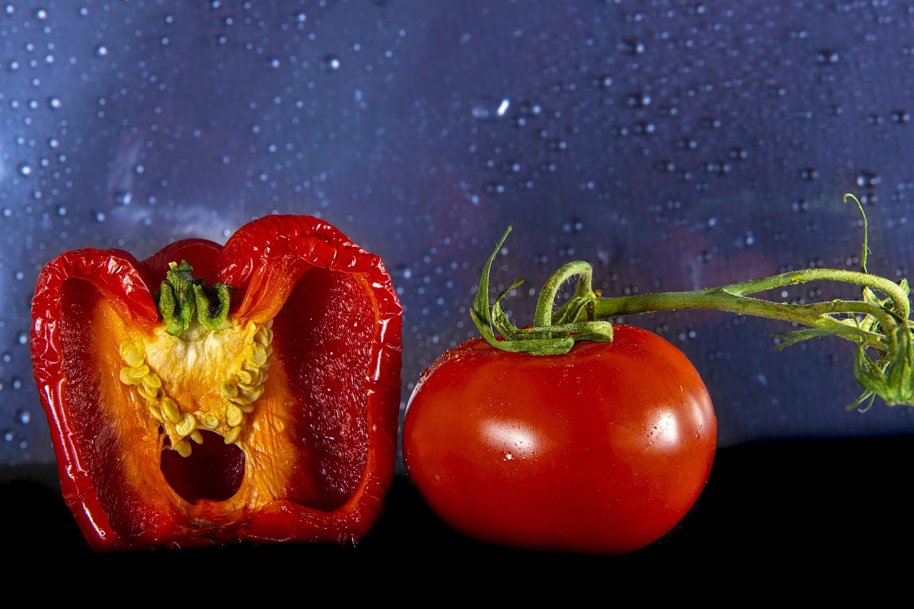 Ethical Considerations in AI for Dietetics and Nutrition