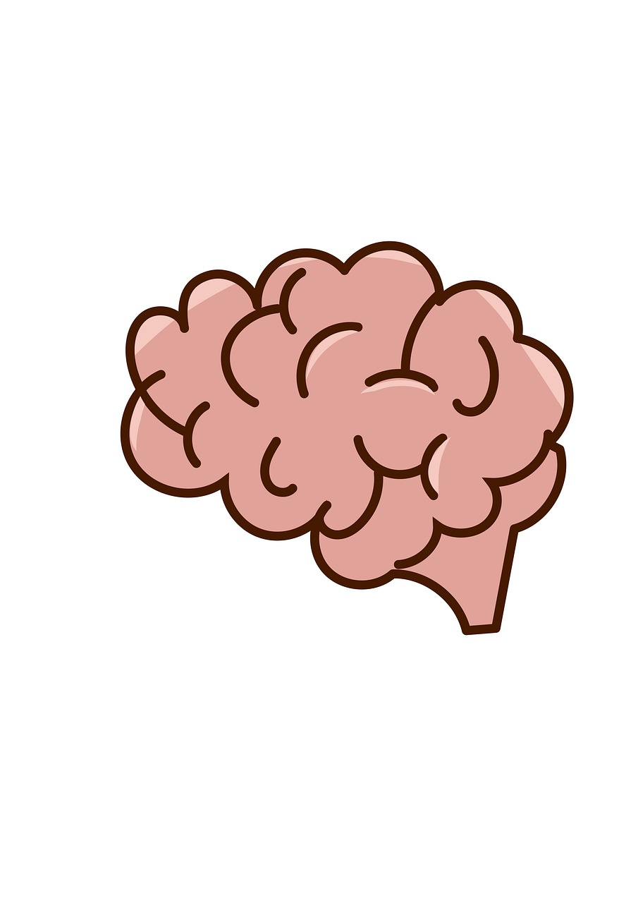 Neuroscience for Biorobotics