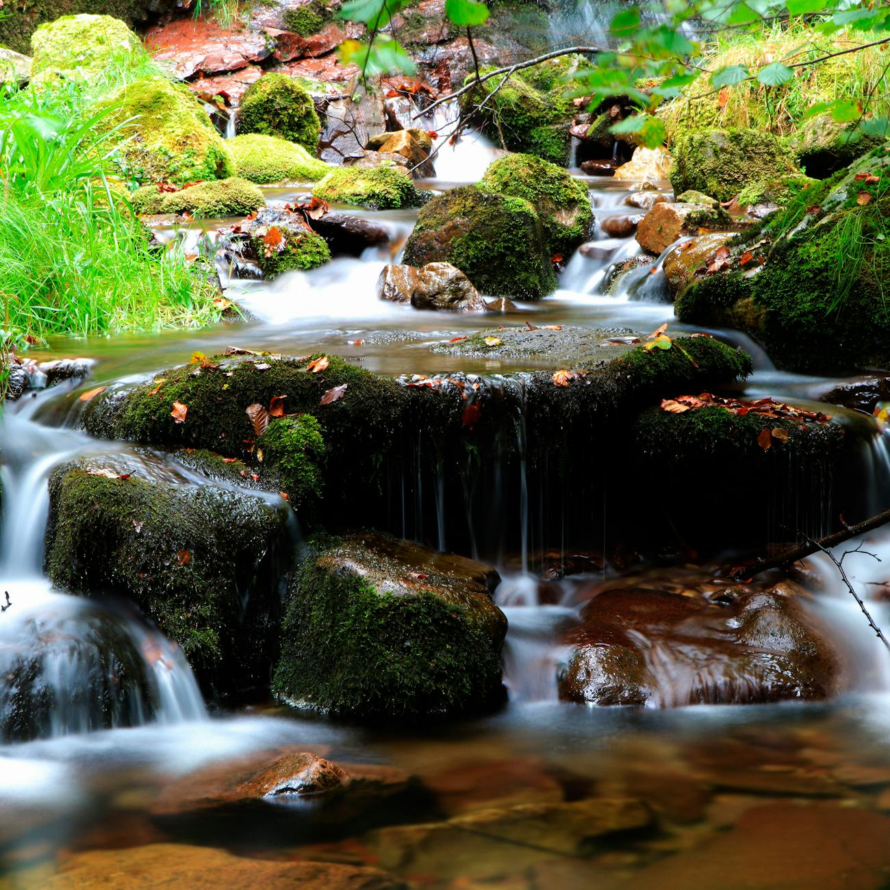 Groundwater Flow and Contaminant Transport