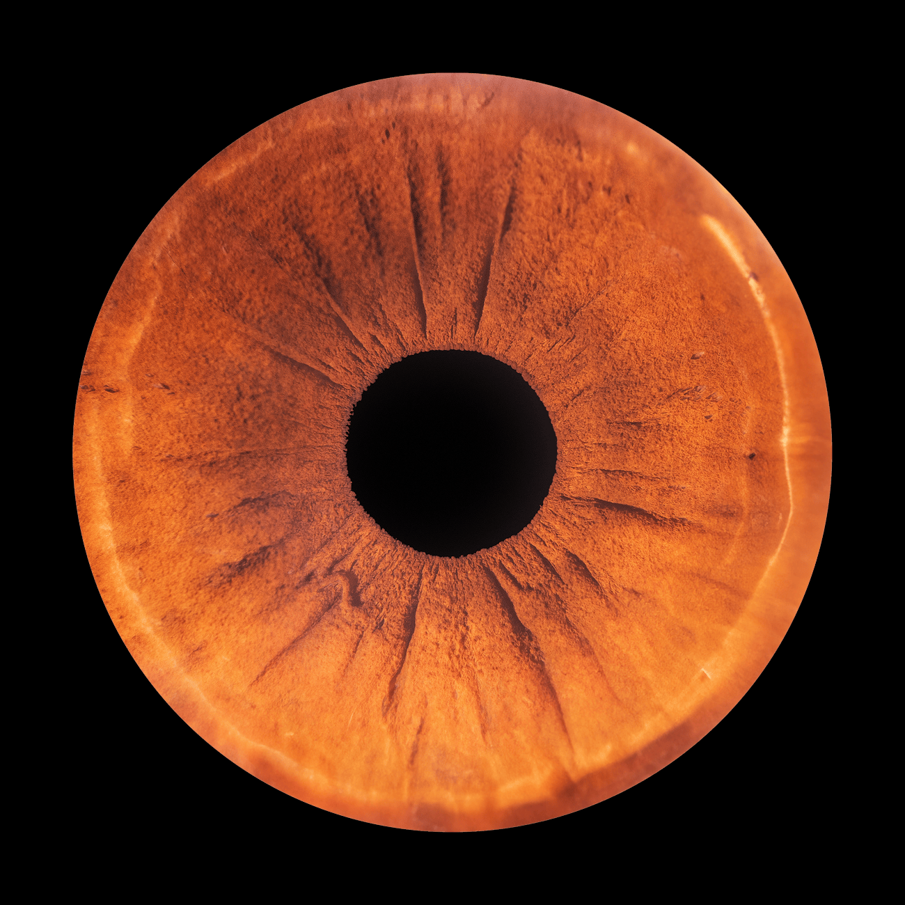 Machine Learning Techniques for Ophthalmic Care